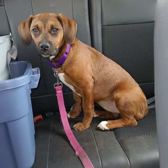 Meet your Posher, Teresa - Picture 6 of 9